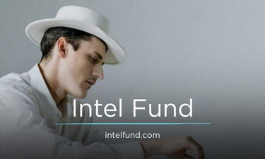IntelFund.com - Creative brandable domain for sale